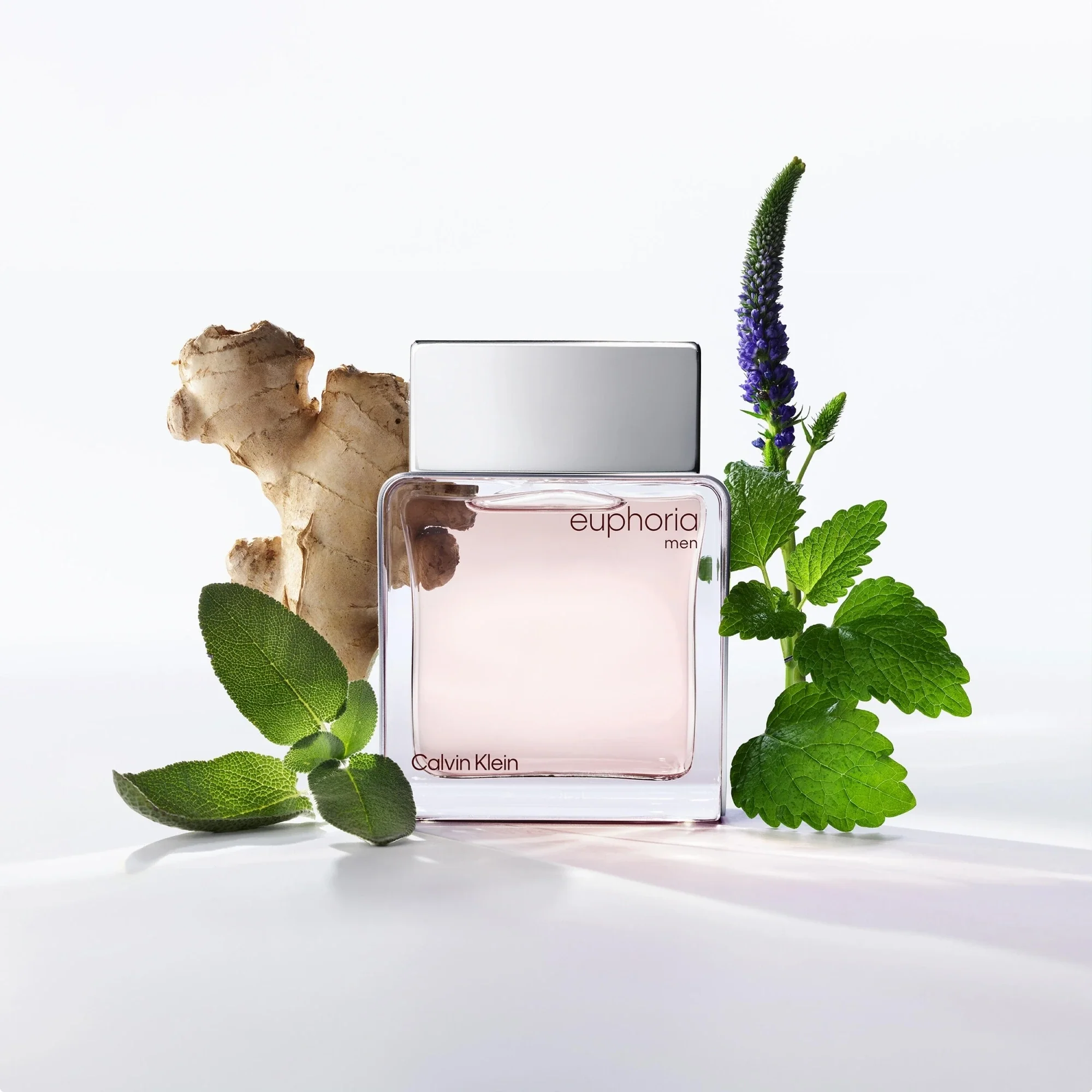 Euphoria 3.4 oz EDT for men