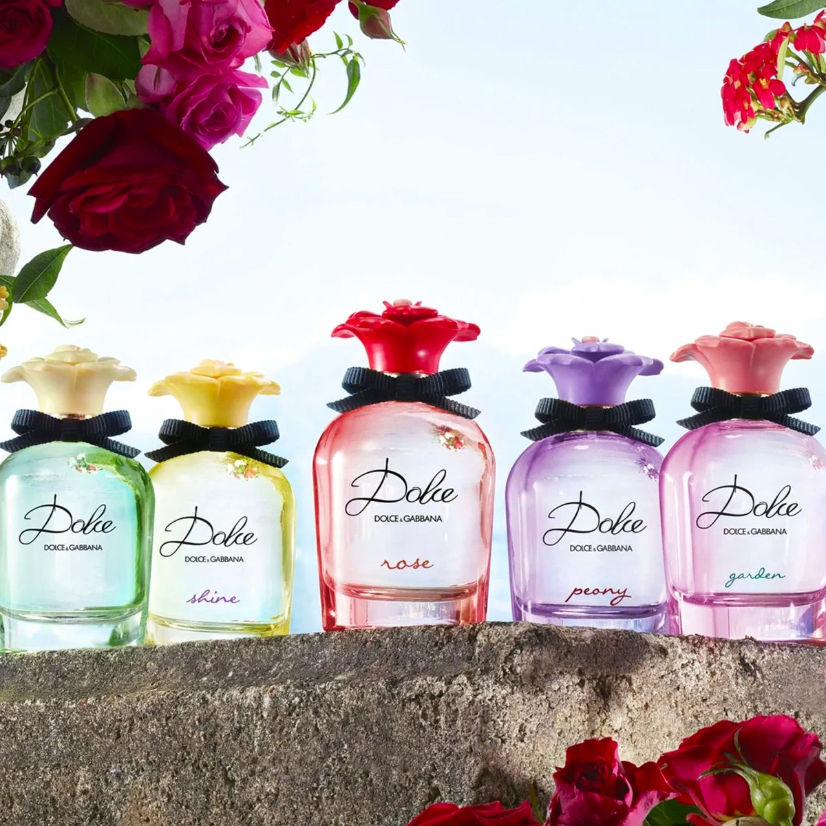 Dolce & Gabbana Rose 2.5 oz EDT for women