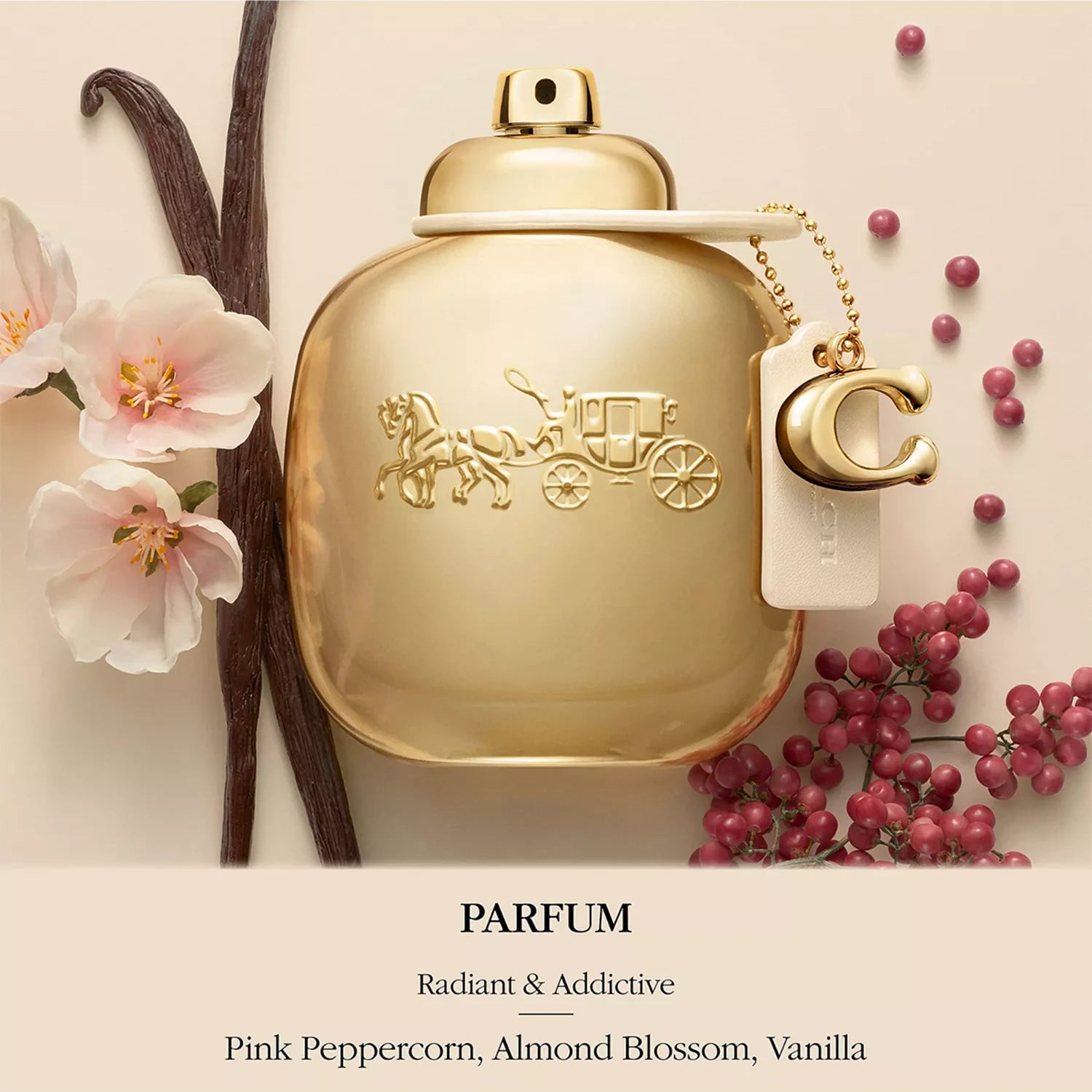 Coach Gold 3.0 oz Parfum for women