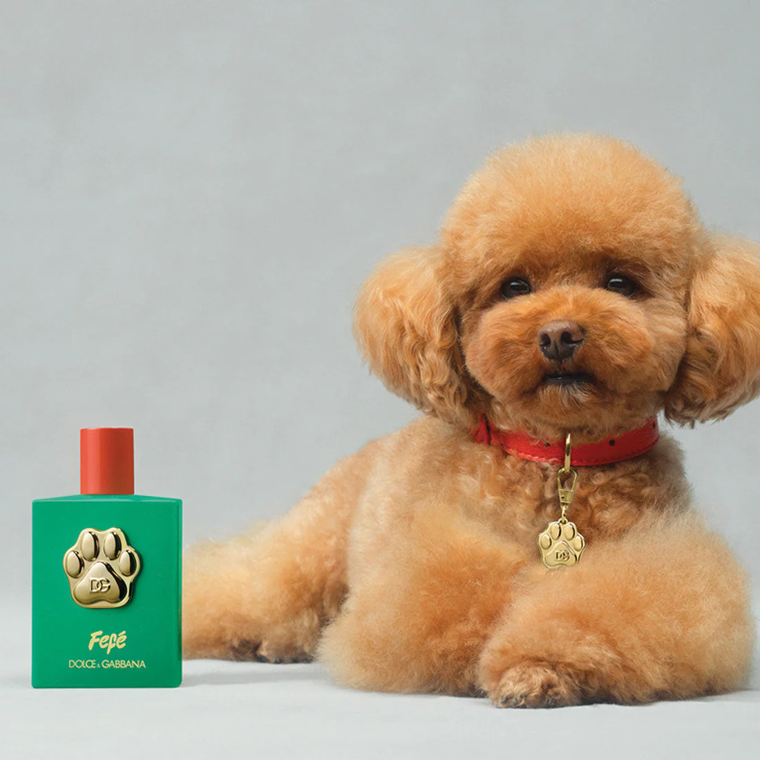 Fefe 3.3 oz Fragrance Mist for Dogs