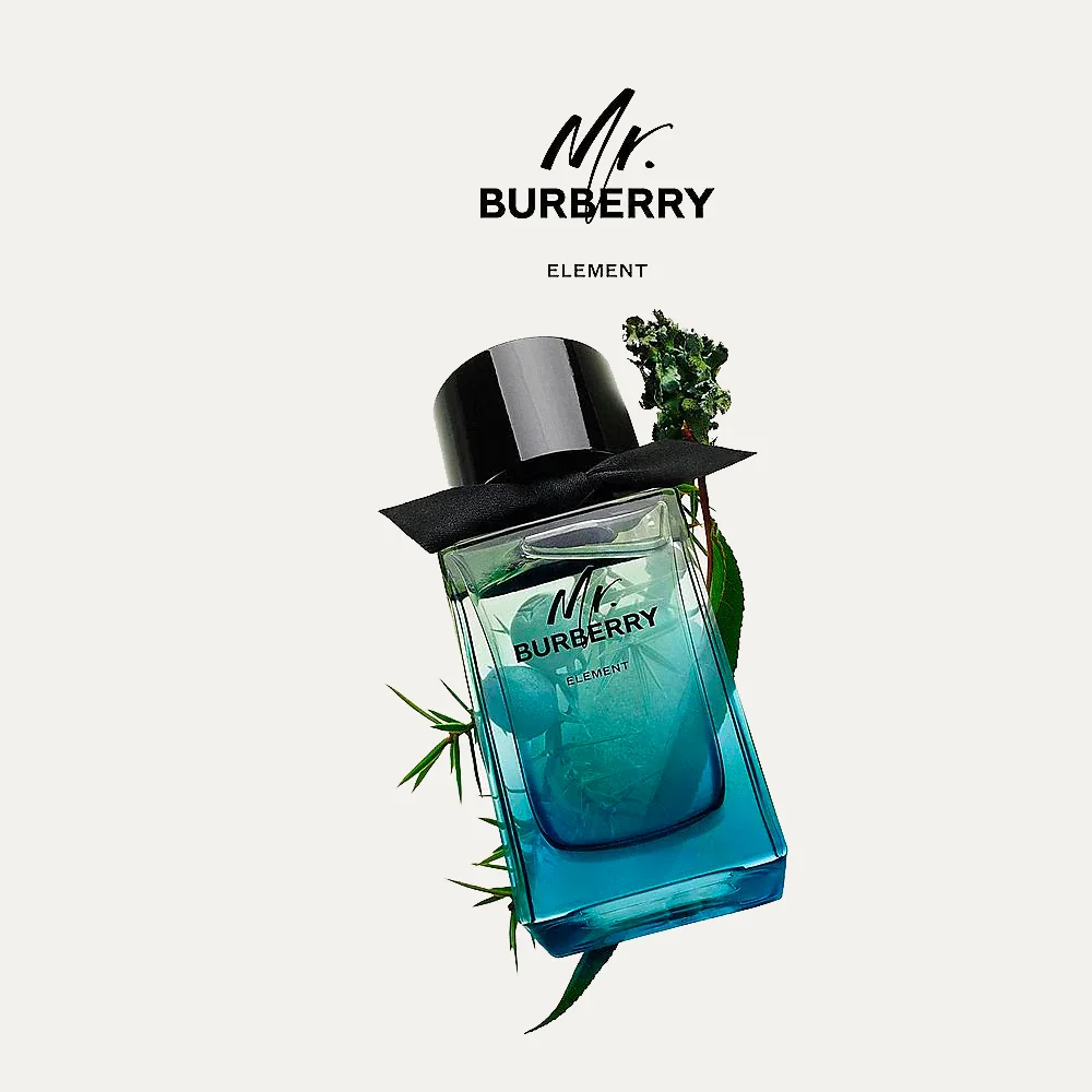 Mr. Burberry Element 5.0 oz EDT for men