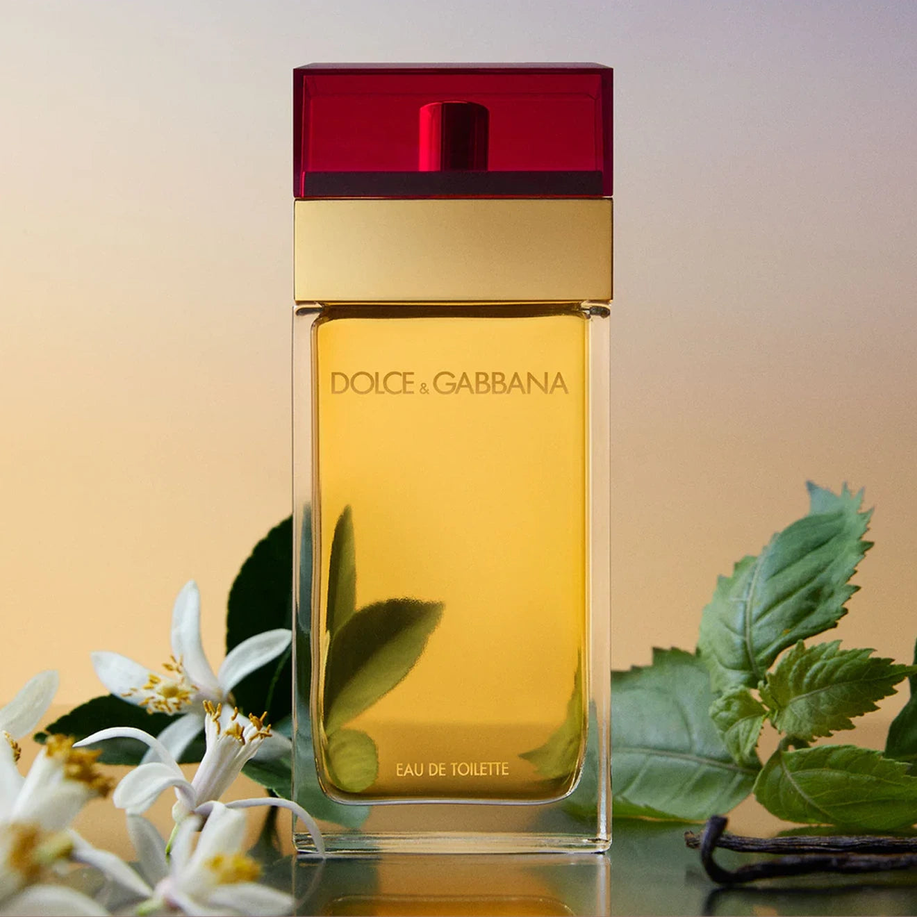 2424-dolce-and-gabbana-3.3-oz-edt-for-women-3.jpg Dolce and Gabbana 3.3 oz EDT for women