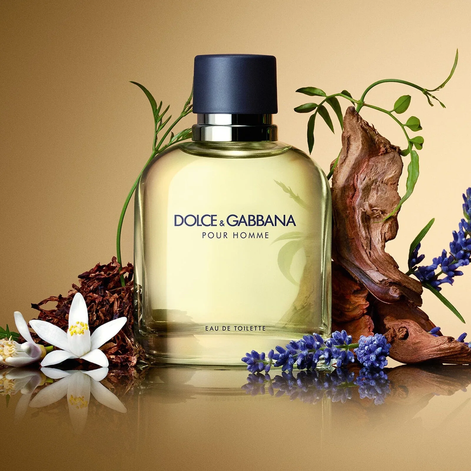 2510-dolce-gabbana-pour-homme-6.7-oz-edt-3.webp Dolce & Gabbana Pour Homme 6.7 oz EDT