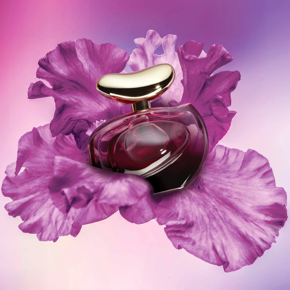 Vince Camuto Illuminare Intensa 3.4 oz EDP for women