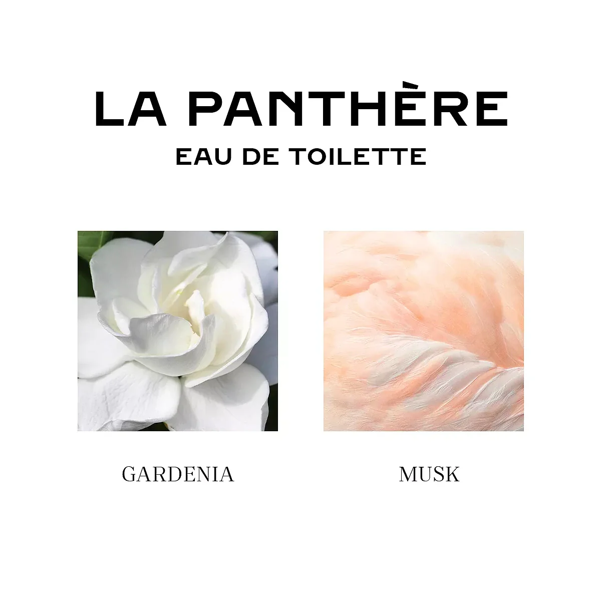 283-cartier-la-panthere-2.5-oz-edt-for-women-5.webp Cartier La Panthere 2.5 oz EDT for women