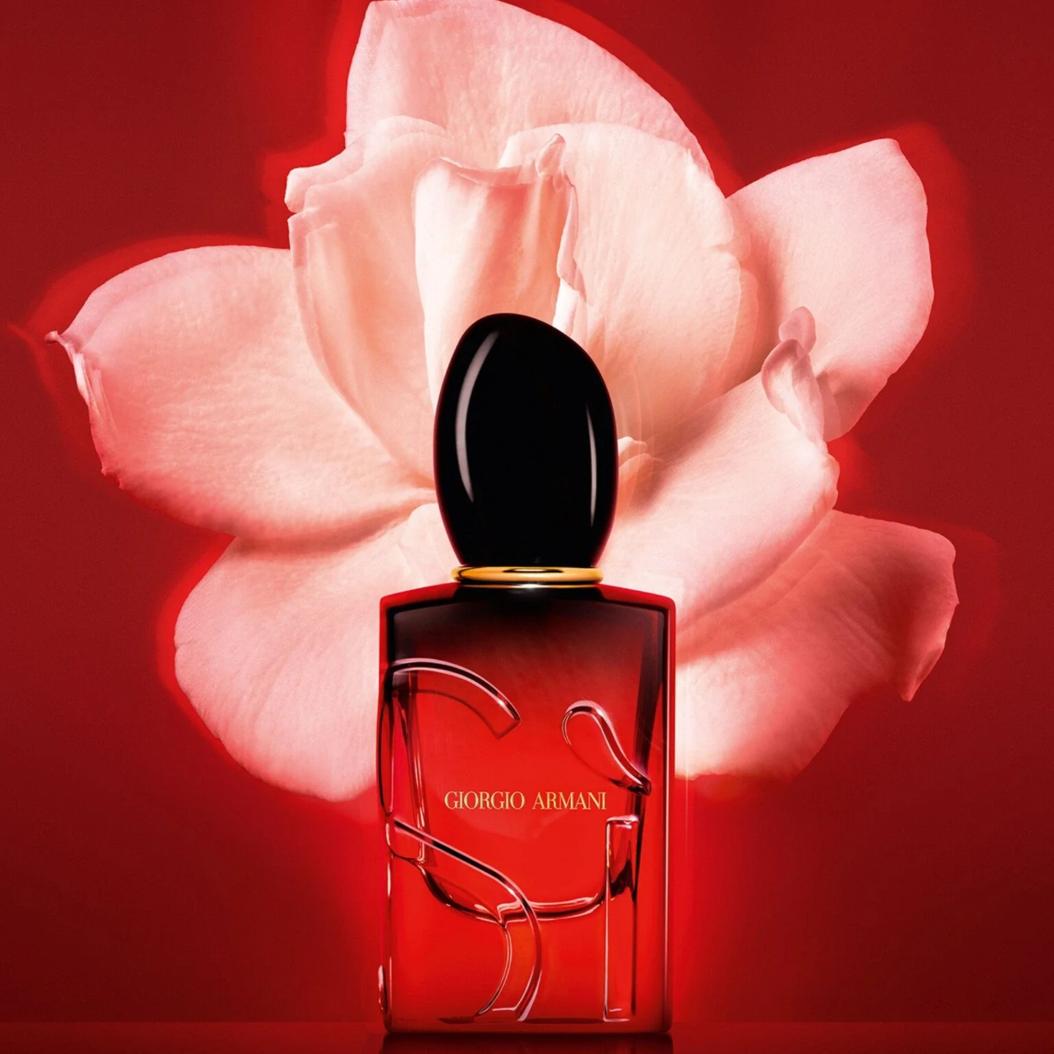563-si-passione-intense-3.4-oz-edp-refillable-for-women-2.webp Si Passione Intense 3.4 oz EDP refillable for women