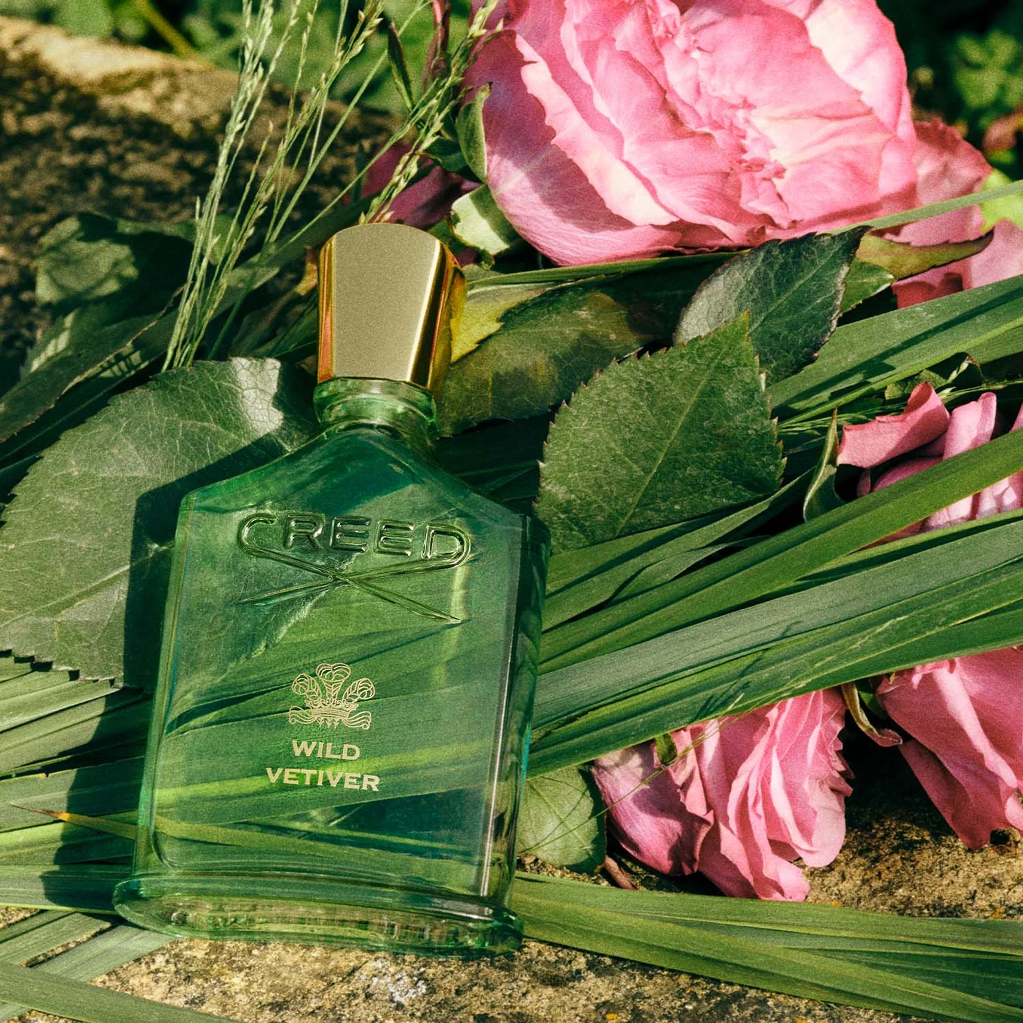 590-wild-vetiver-3.4-oz-edp-unisex-3.webp Wild Vetiver 3.4 oz EDP unisex