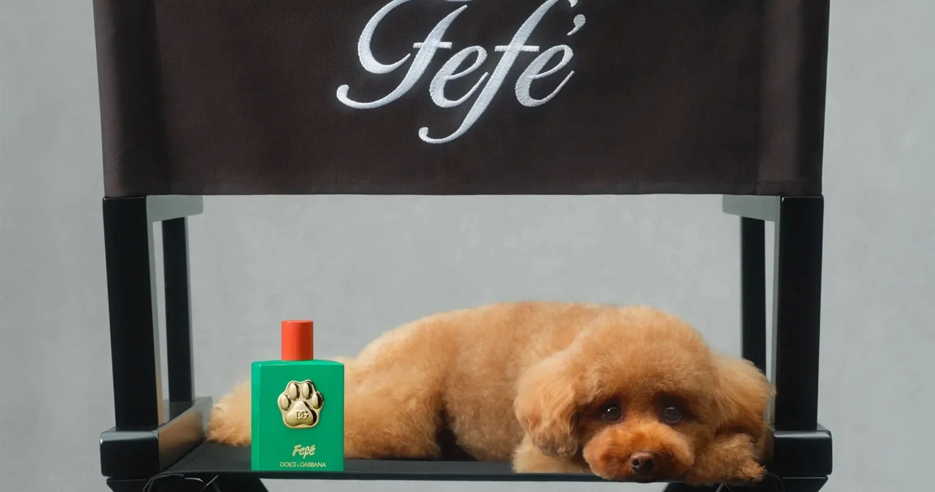 FEFE D